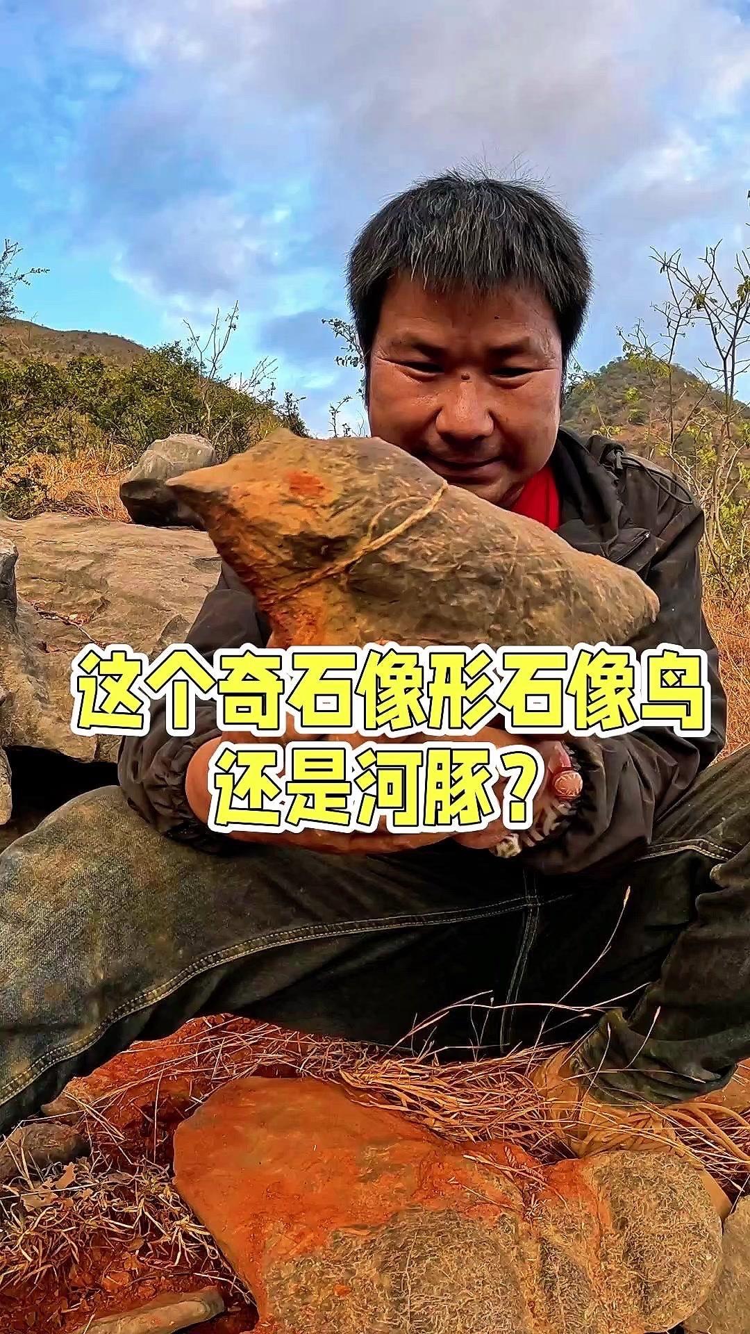 山里捡到块象形石，我盯着看半天都没看明白——它一边像鸟，脑袋圆乎乎的，还有个“泥
