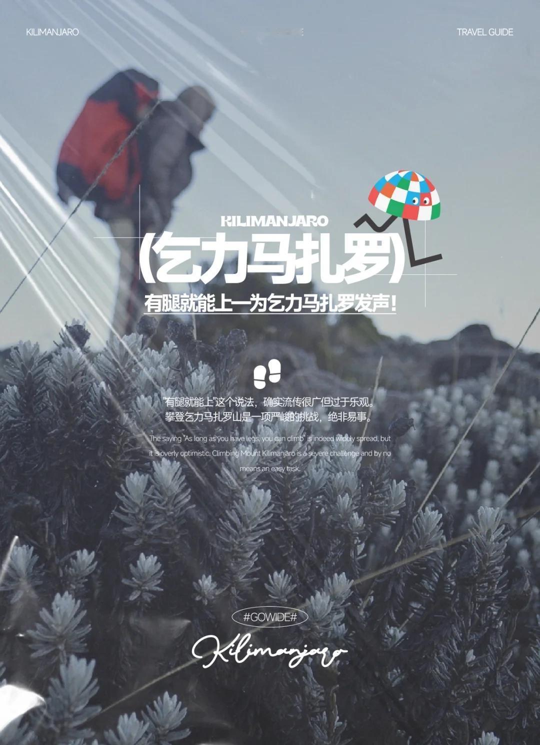 "有腿就能上乞力马扎罗？"
"有腿就能上"这个说法，确实流传很广但过于乐观。攀登