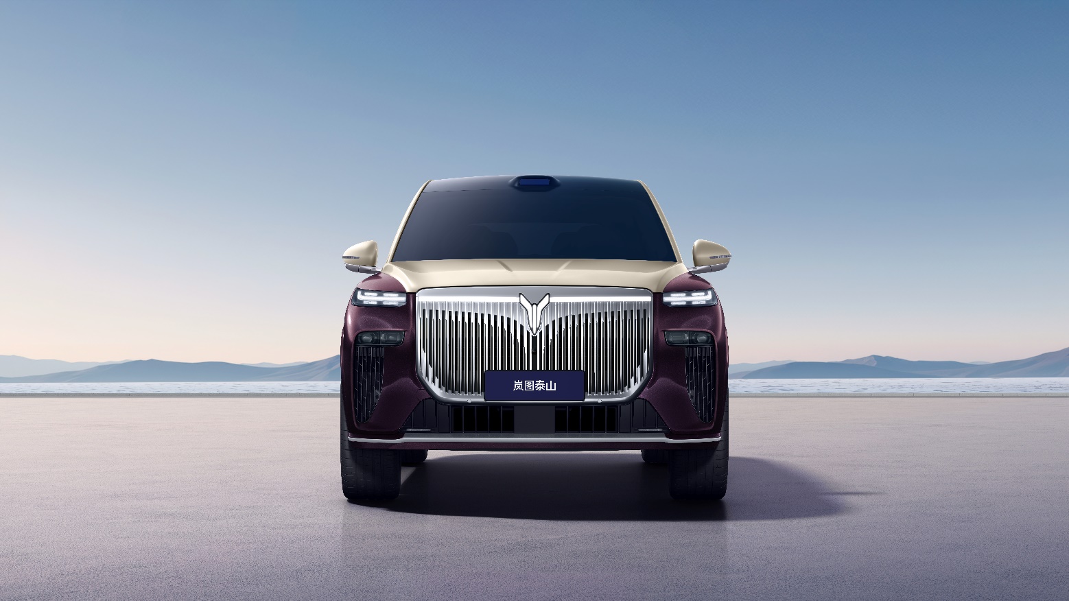 岚图汽车上市方案获股东大会高票通过