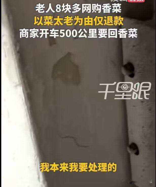 上海，一老人花了8块多，在网上买了一把香菜，香菜拿到手，她却嫌弃香菜太老了，就申
