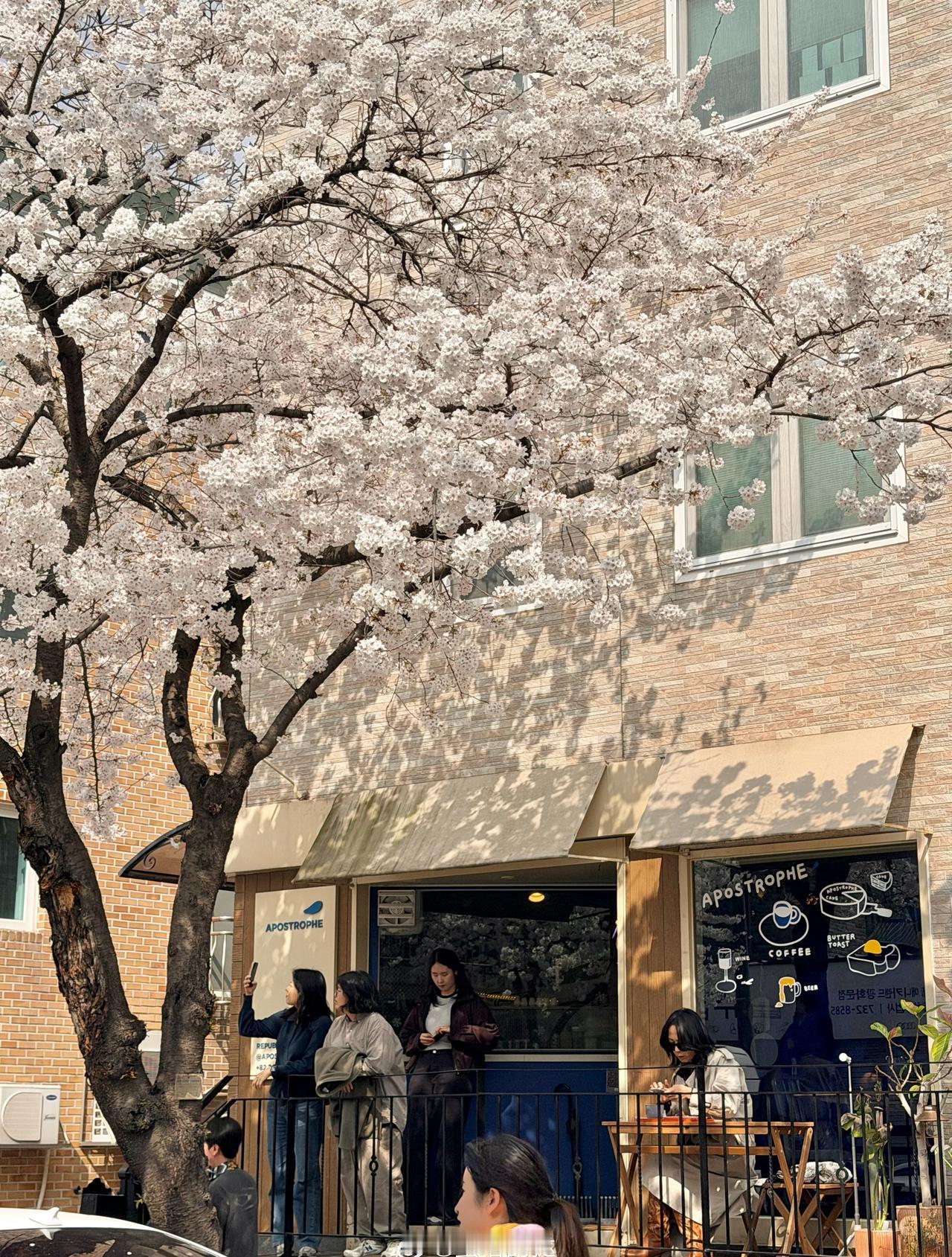 每天出门都这么好天气 谁还想回长沙过阴湿日子啊! ​​​