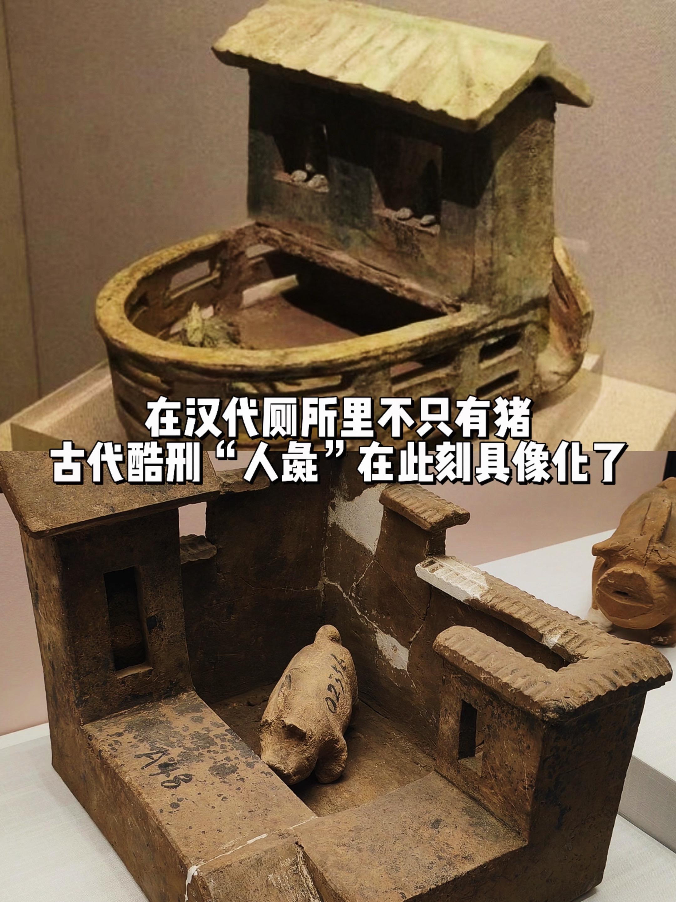 在汉代厕所里不仅有猪还有人彘！汉代猪厕所环保卫生，男女分厕，看似文明背...