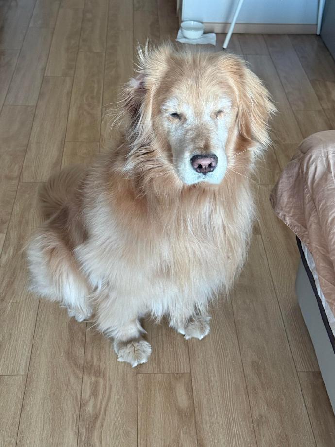 像不像早起上早八的你 