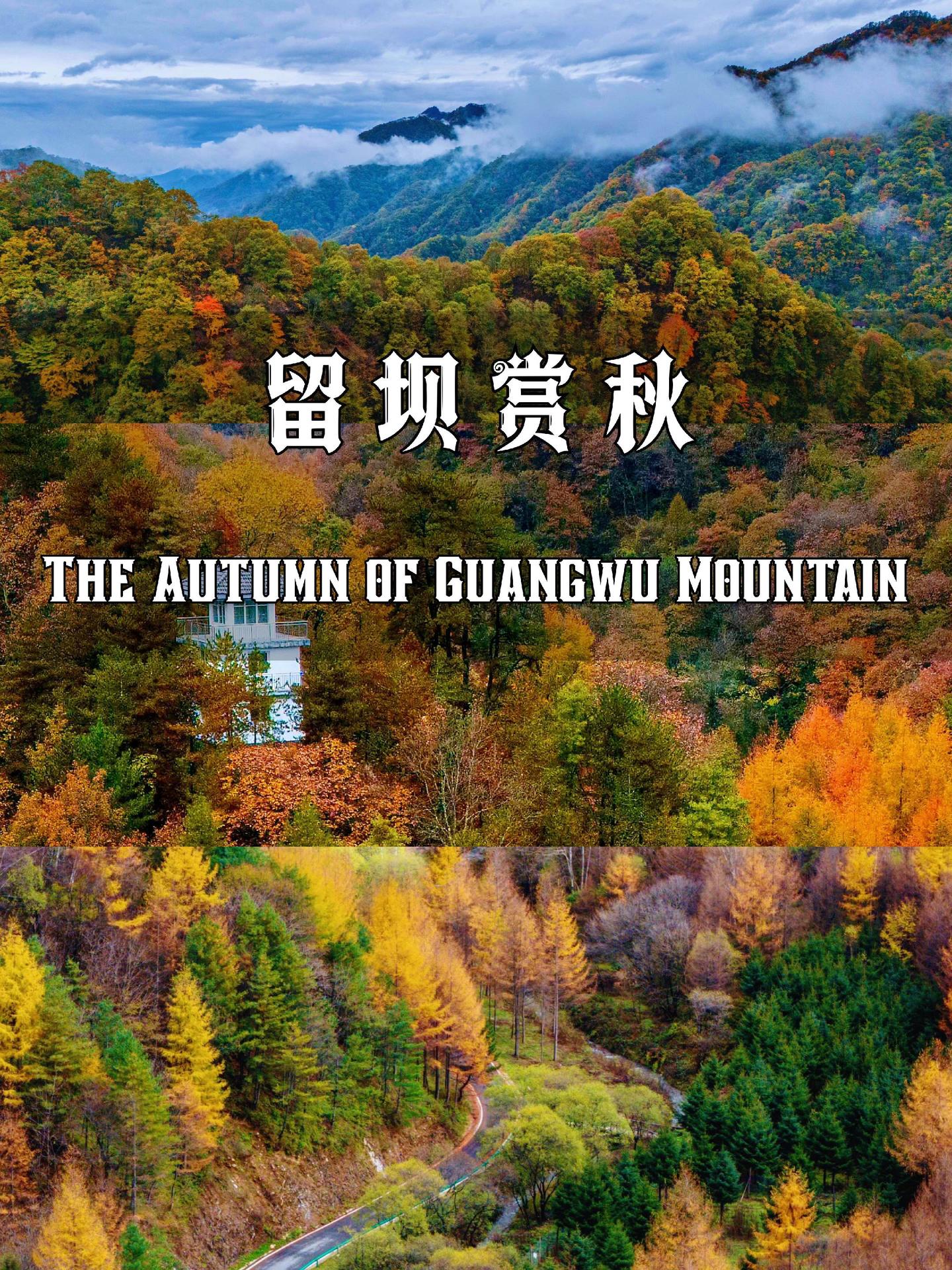 不是川西去不起！而是秋日的留坝更有性价比。原本以为川西的秋已经很美了?...