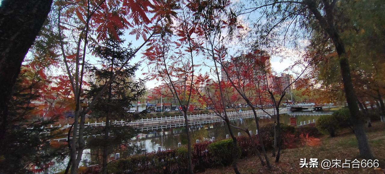 昨天和妻子闺蜜两口子吃饭。她俩说马上要去海南过冬了，来年十月份再回来。

我很羡