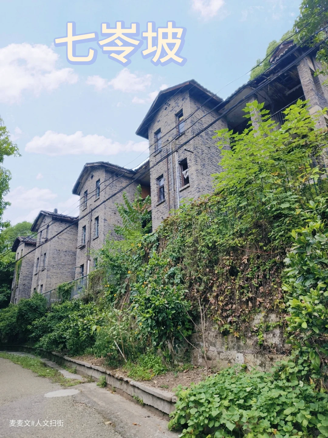 【永川】这里藏着60年代科研人的热血故事