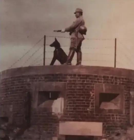 1942年，山东一个日本医生冒死救出26名八路军，全军感激涕零，罗荣桓却冷冷地说