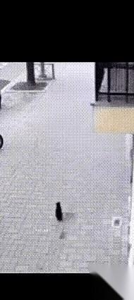 我跟你说，有些事儿，要不是亲眼看到监控，打死我都不信。
一个刚会爬的小孩，从三楼