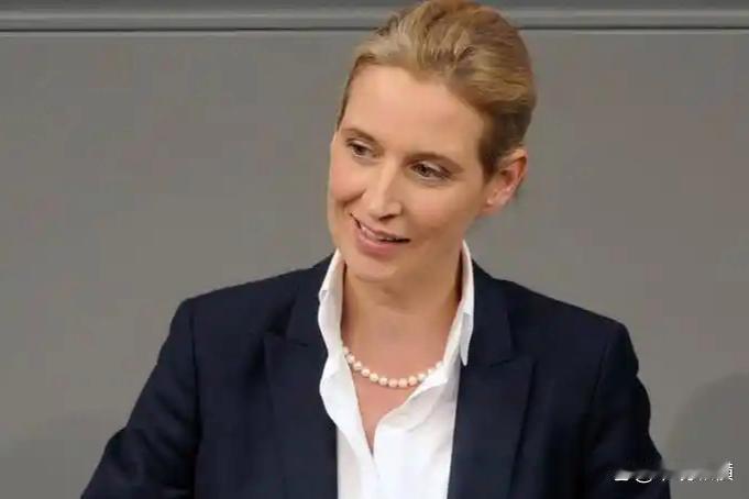 德国政坛彻底变天！最新民调显示，极右翼选择党支持率飙到28%，反超默茨的联盟党。