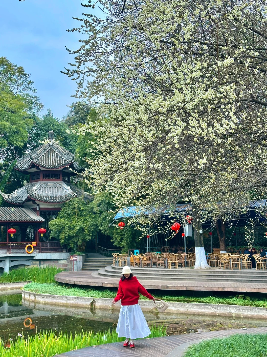 成都！文化公园！！这株绿梅巨出片啊……