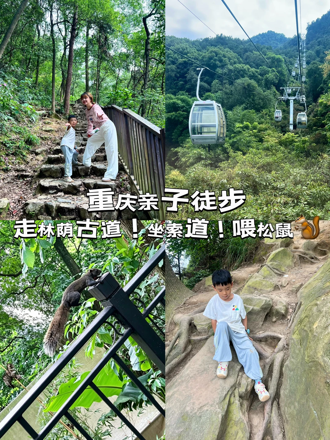 重庆亲子徒步|走林荫古道❗️坐索道❗️喂松鼠