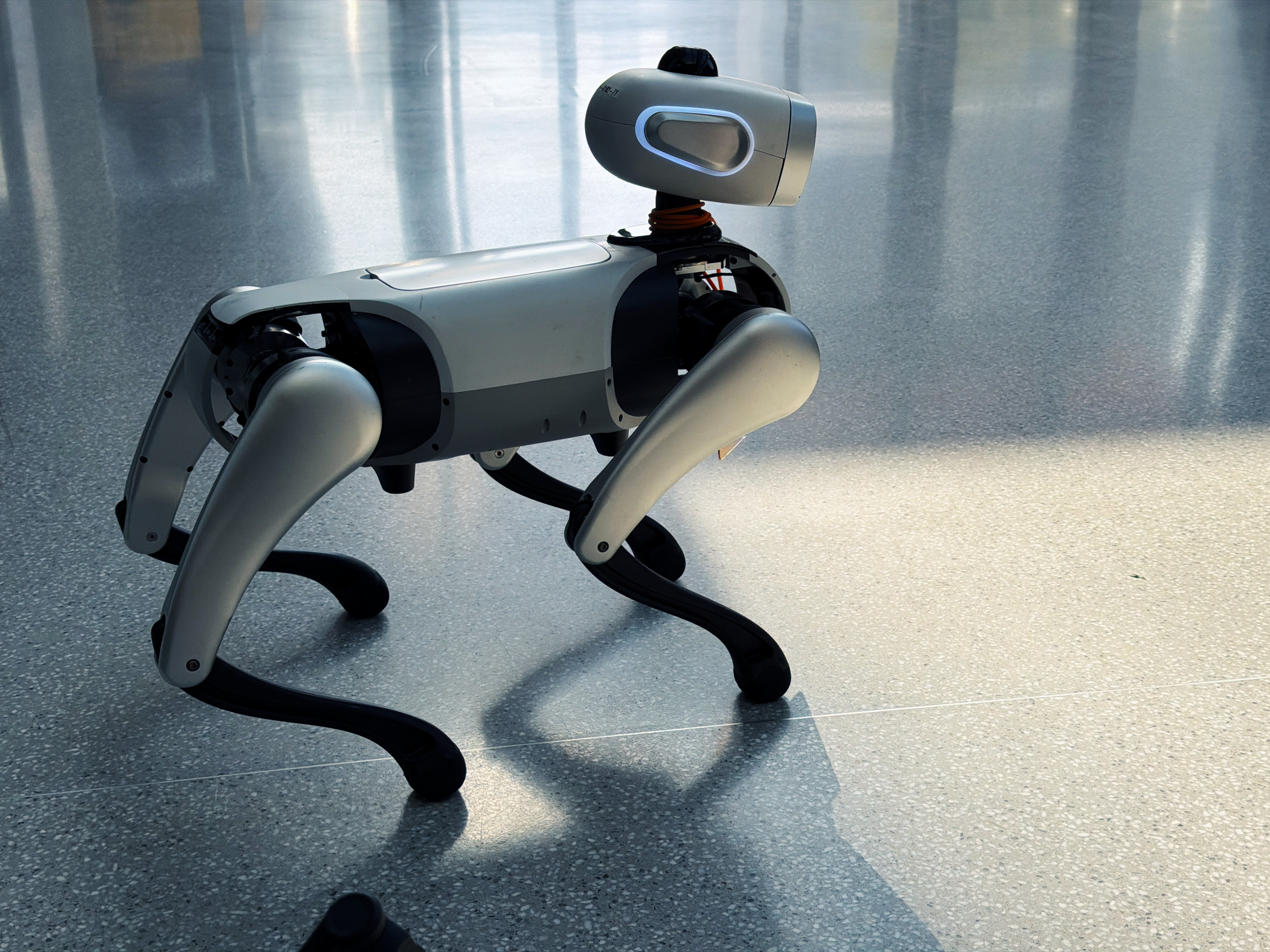 今天在禾赛科技的研发中心还看到了 的“大头”。小姐姐认出了我，把我的信息输入给了