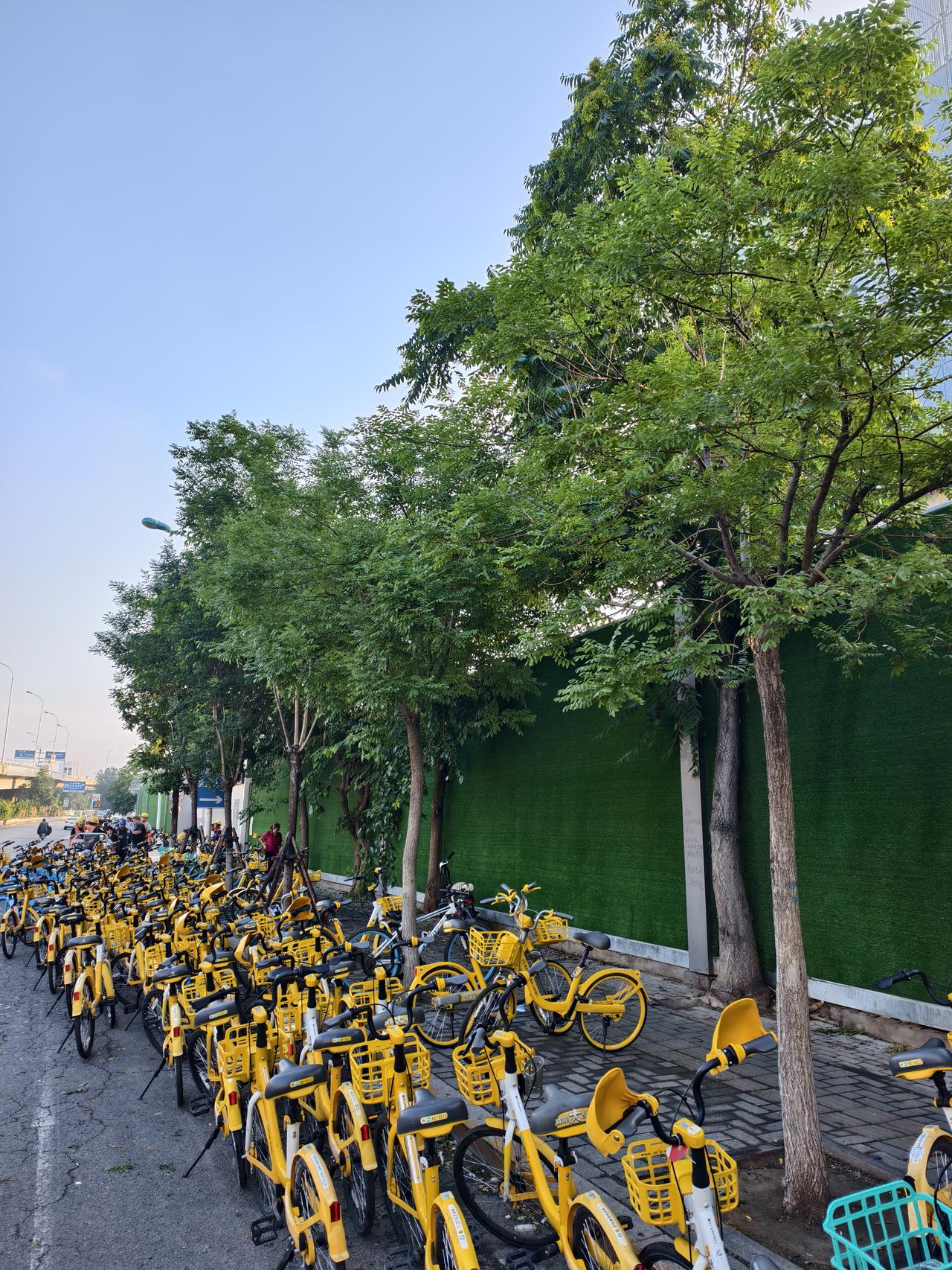 城市街面上共享单车已经“见怪不怪”了，但是，每天清晨，在天津西站南广场城市更新项