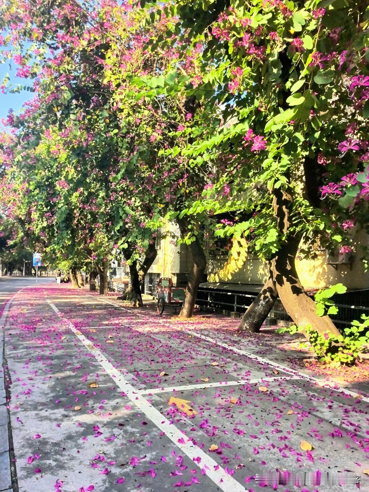 结婚不是“谁吃亏”，而是“一起不吃亏”

最近总看到两种声音：  
一边是女生说