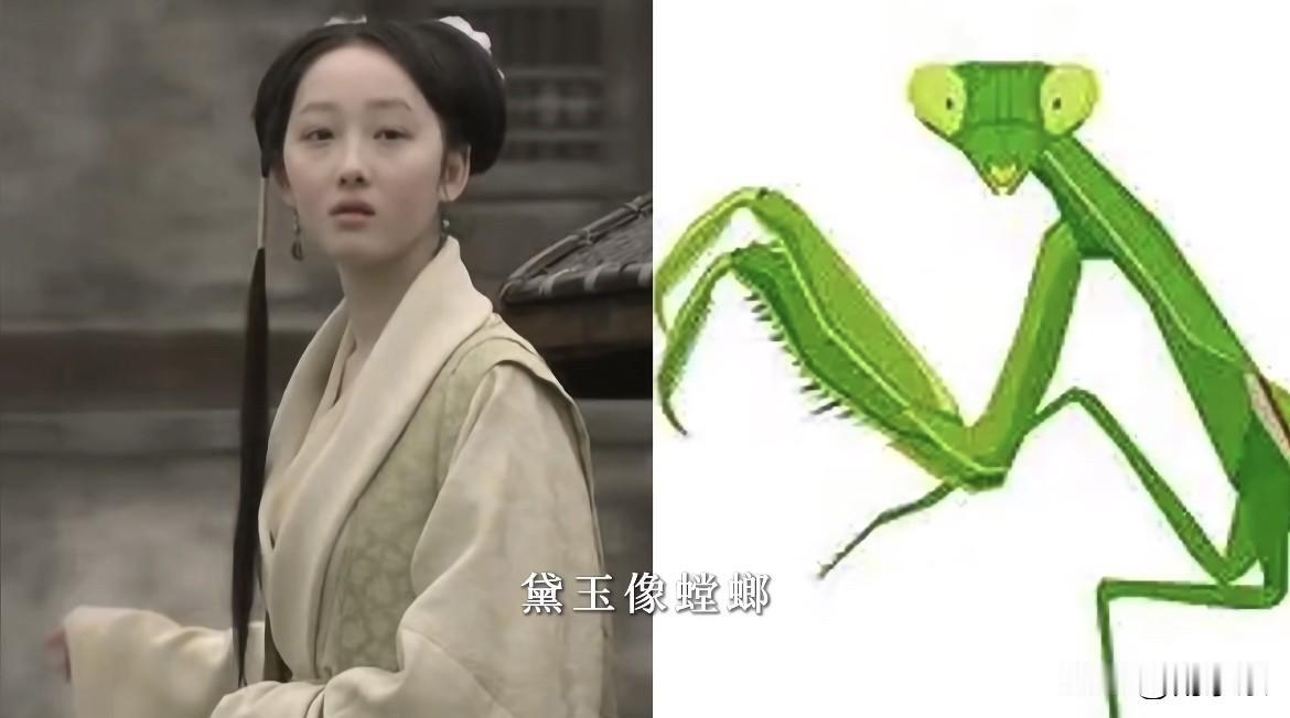 斥资1.2亿元，把大观园变动物园？10版红楼的金陵十二钗，被吐槽为金陵十二怪！