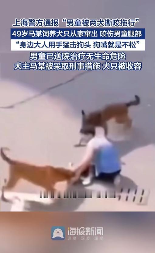 “太揪心了！”7月7日，上海，一男童在小区里玩耍，家长就在一旁看着。突然间，两条
