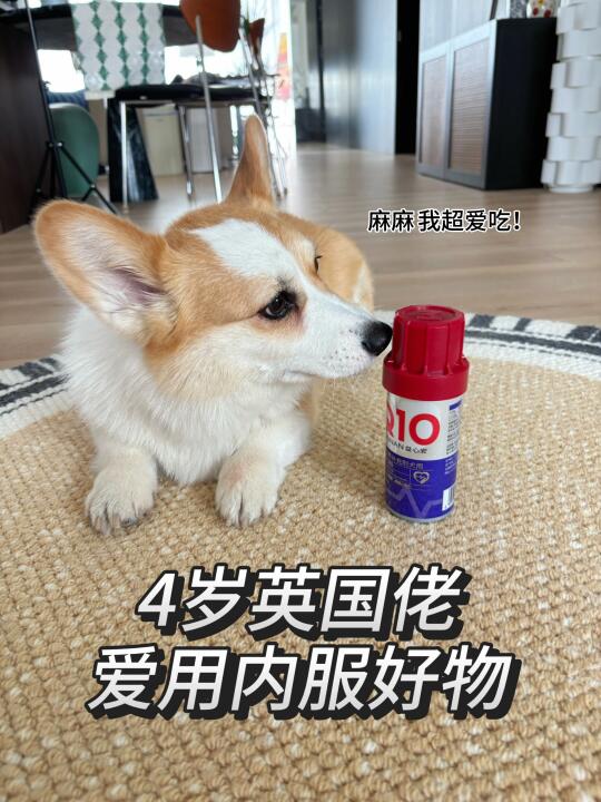 四岁英国佬辅酶Q10你们选的啥？？？