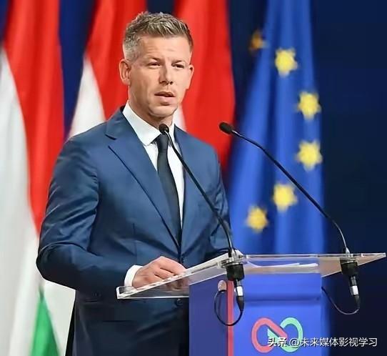 反制来了，这次轮到中国立规矩了。

7月24日，商务部一纸公告震动欧洲：莱茵金属