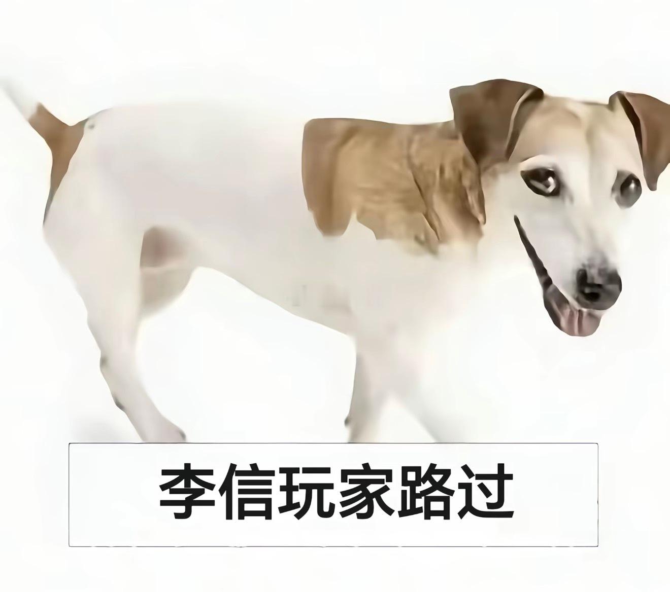 宝宝们公主元气耗尽要睡觉啦 