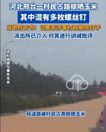 “太坏了！”河北邢台，男子开车行驶至某条路段时，发现大半的道路被玉米粒给占住了，