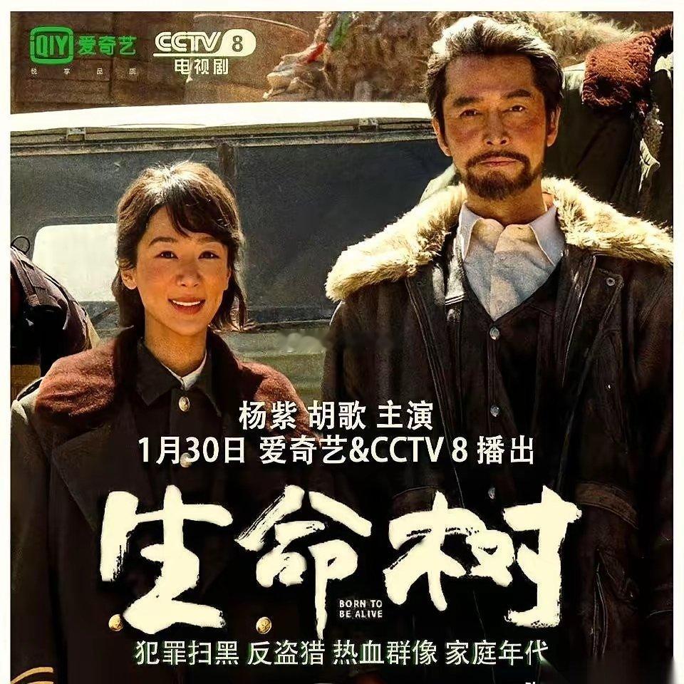 我敢说，杨紫这种级别的姑娘，最后大概率是不结婚的。真不是挑剔，也不是眼光高到天上