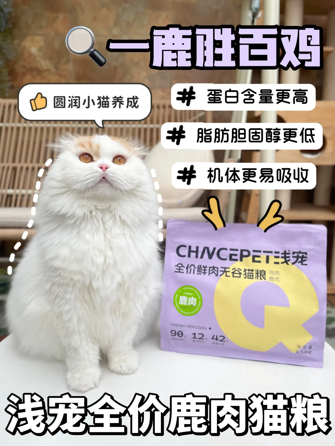 OMG！猫猫我啊也是吃上鹿肉猫粮了捏！