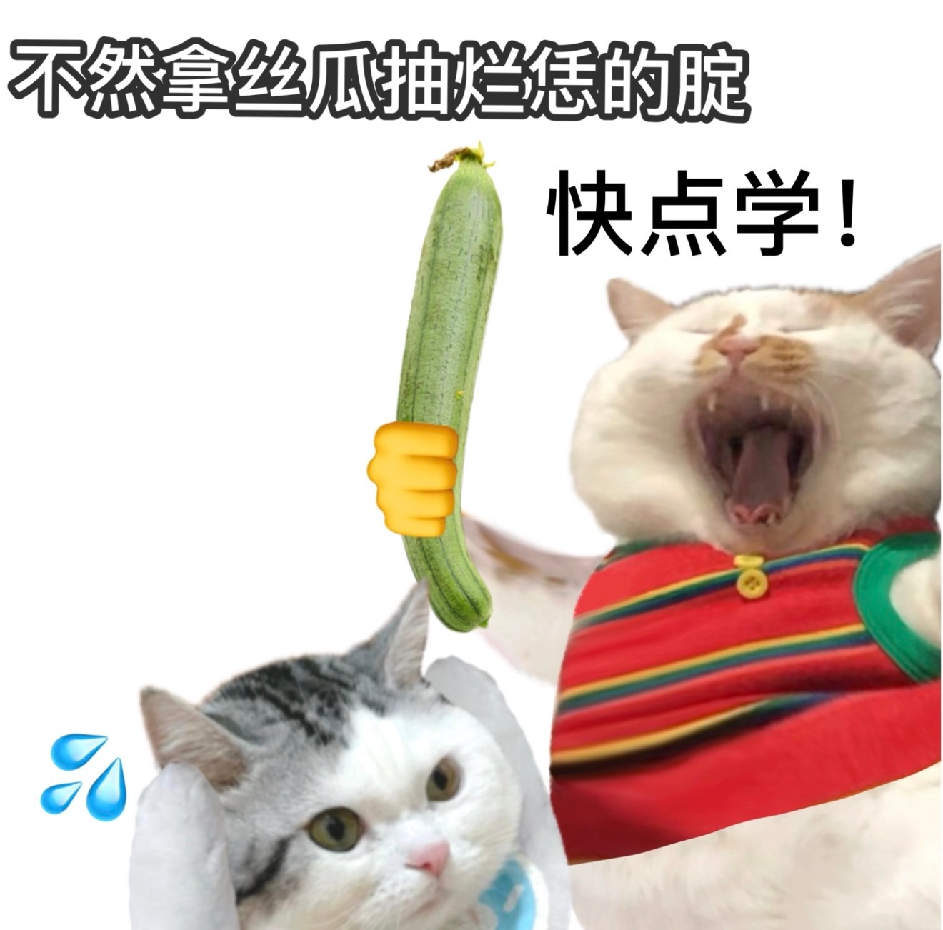 其实更新这么快是在偷偷做数据 
