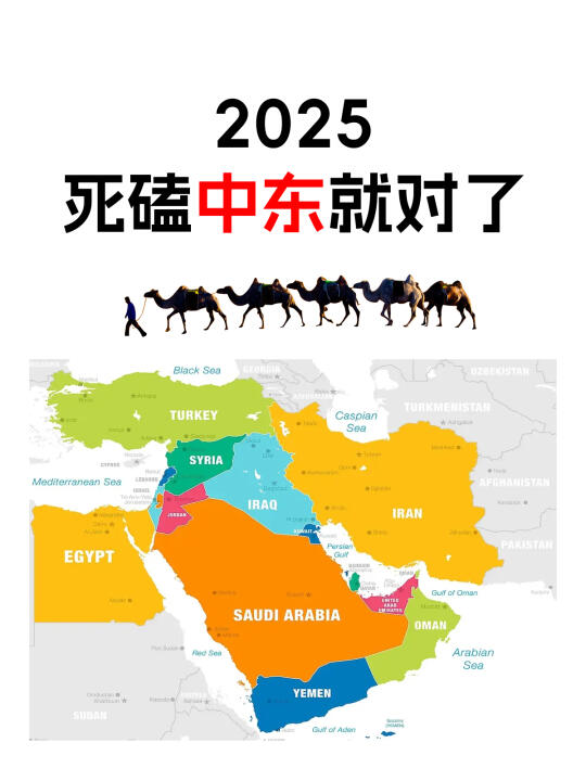 2025年死磕中东市场