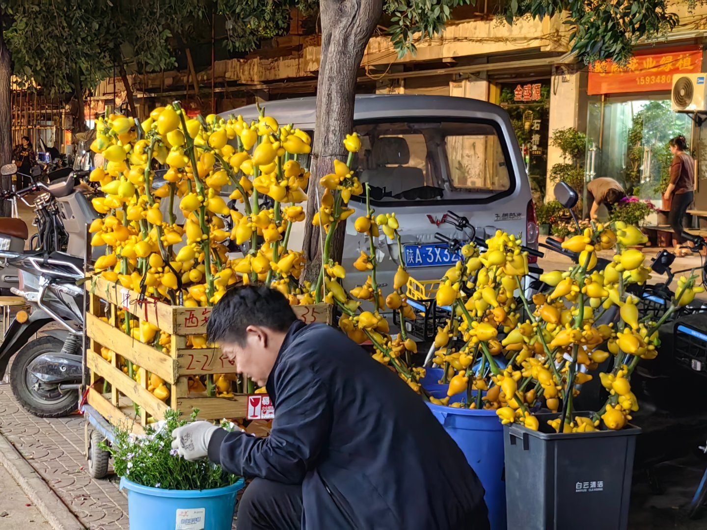 【阿燃寄回的明信片】楼下花店在卖什么[求关注]第一次见 ​​​