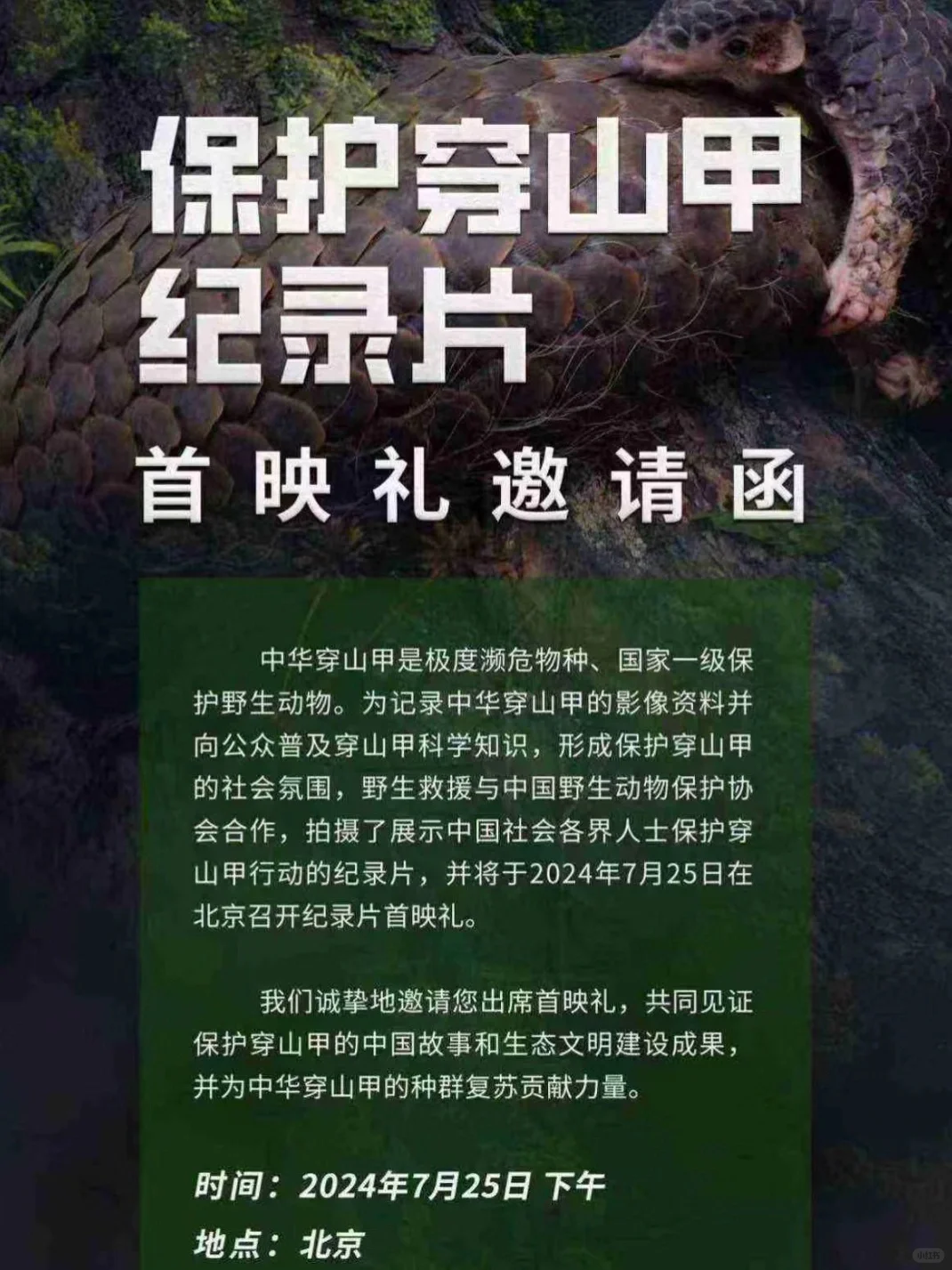 25号去见王一博，收到邀请函啦～👉👉