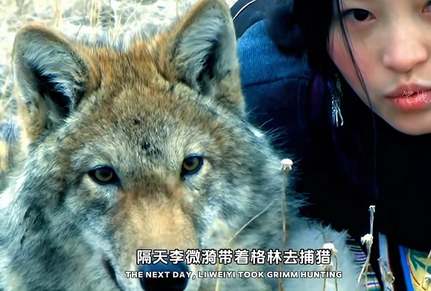 2026春节档已定档七部影片！
分别为：《惊蛰无声》《镖人》《飞驰人生3》《星河