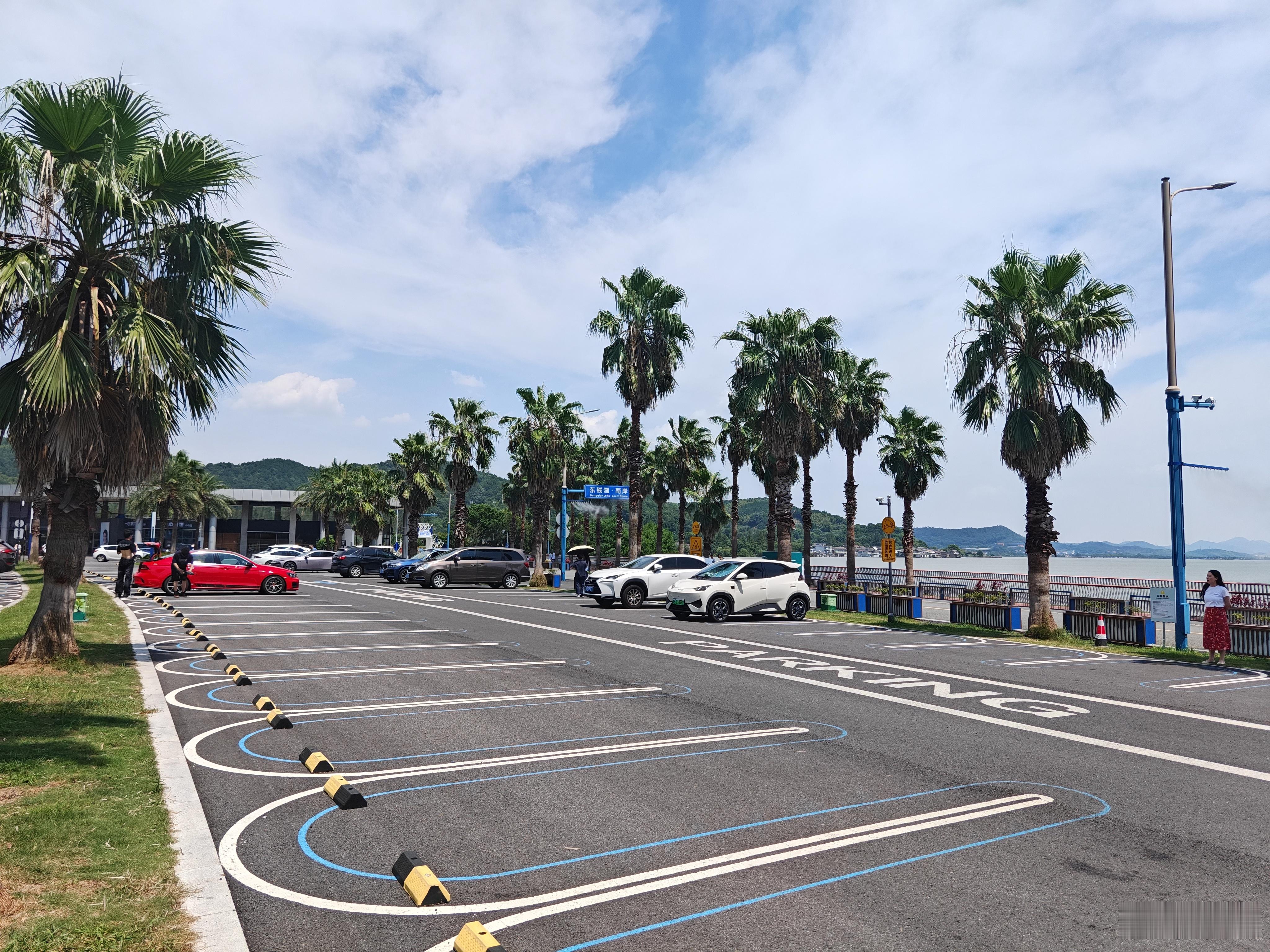 这个地方叫宁波市东钱湖小加州？原来多种几颗棕桐树就能叫“加州”了。你说离谱不离谱