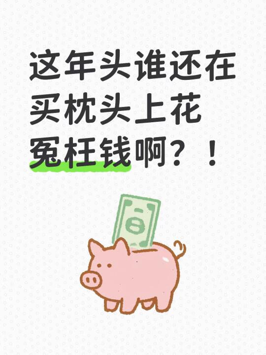 这年头谁还在买枕头上花冤枉钱啊？！