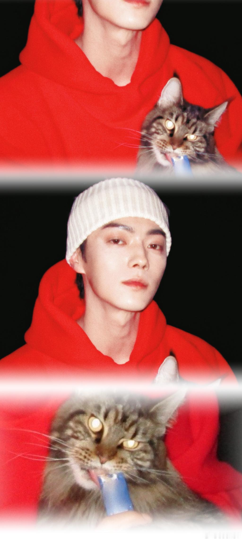 拼拼拼，拼好so 