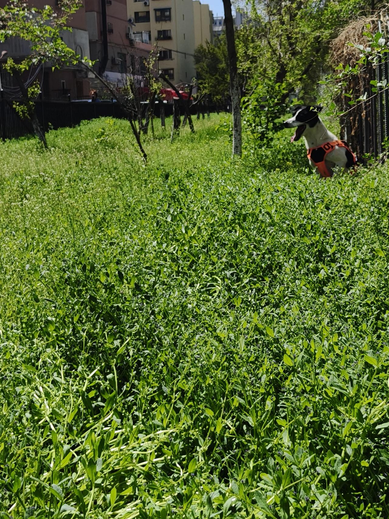 本来想这个五一大假，时间长一点。想到新疆的南疆去转一转。
        打电话