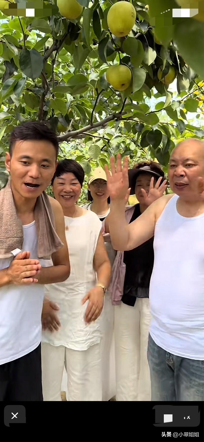 昨天厉怀远带着历爸厉妈，二姨一起直播卖梨，圆满收官，又创纪录了，卖了大约1.5万