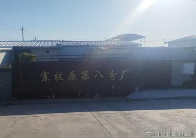 河北邢台：龙头企业牧原违法排污，两百亩药田尽毁，维权之路何其艰难 城乡见闻 20