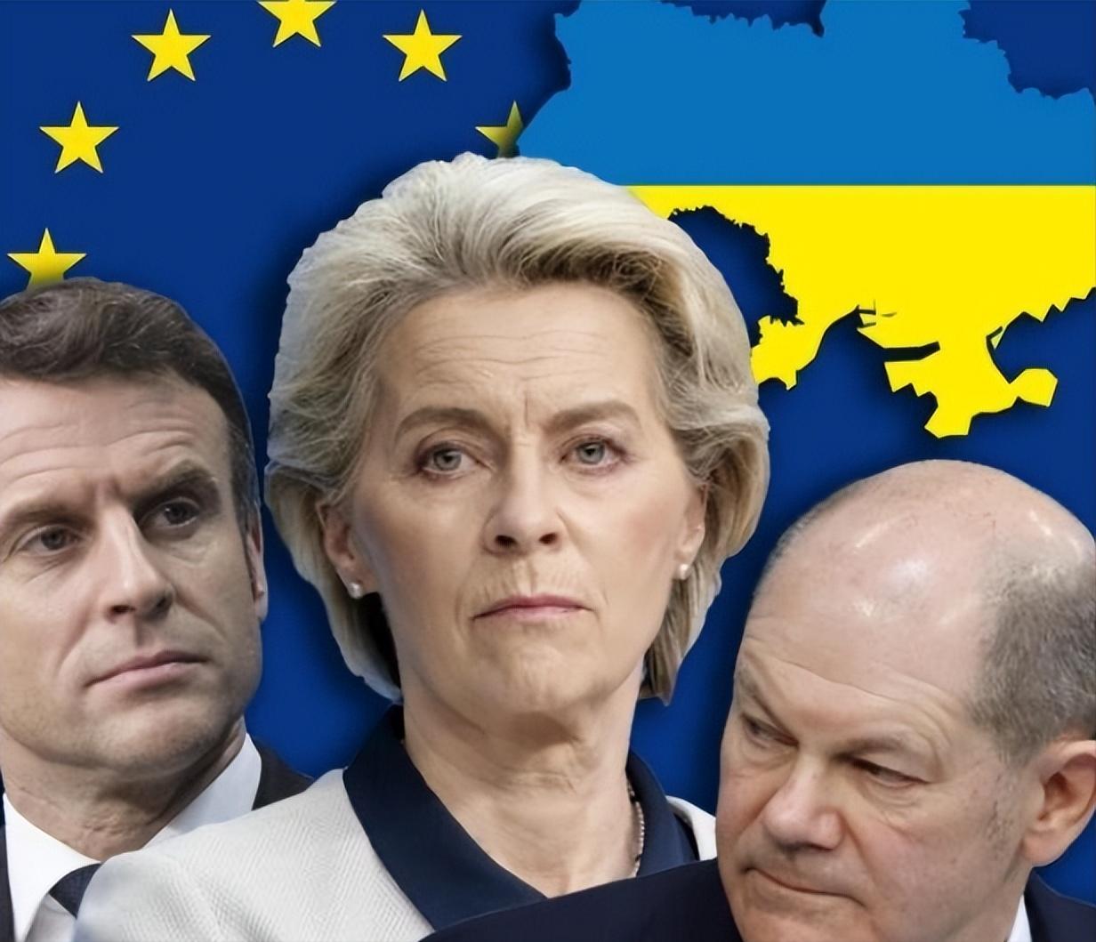 其实事实证明一旦欧盟把技术搞到手，中国企业再把工厂建起来，马上就会像非洲的尼日尔