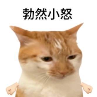 我最近为什么评论老是被折叠😒 