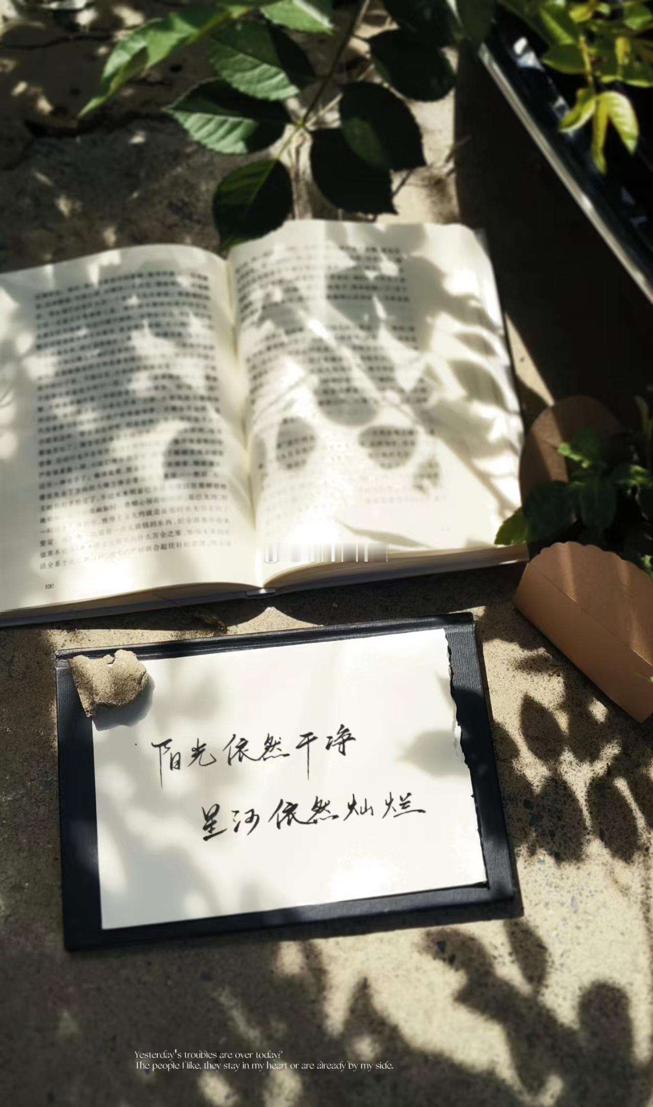 黑天木苏里 𓆩♡𓆪 Eternal Poplar·黑天九周年特别企划 『不朽