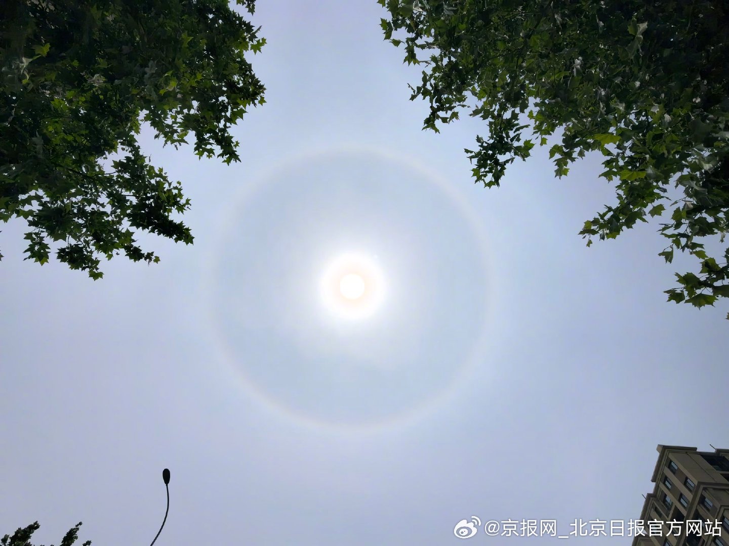 【#北京天空现超大日晕环#】#北京的太阳戴上超大美瞳# #今天北京真好看# 5月