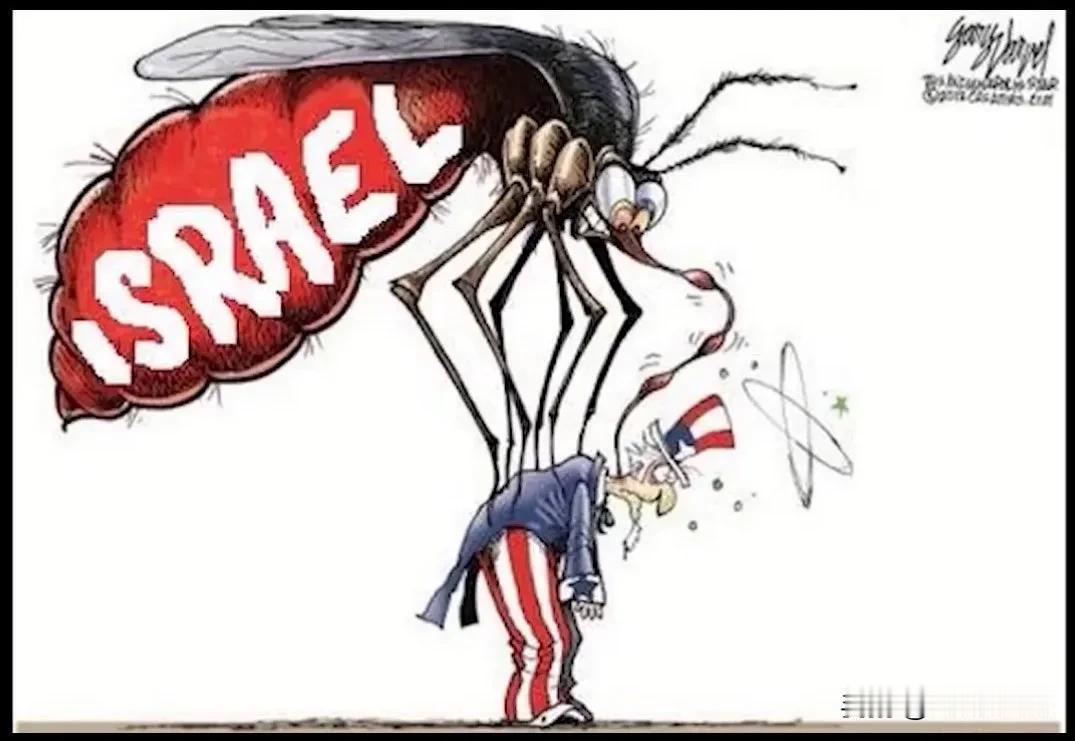 漫画解读：那只巨大的蚊子上身的英文Israel是“以色列”，那个小人是美国。蚊子