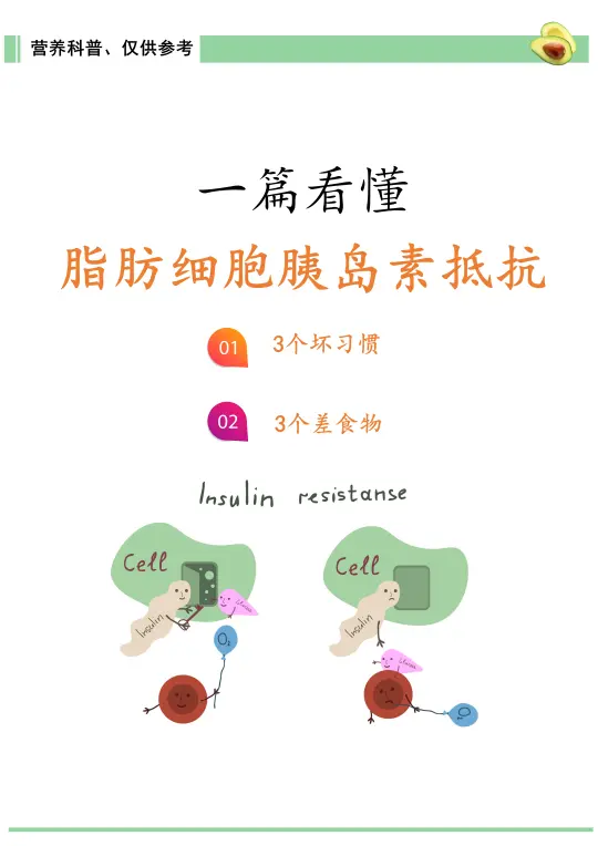 一篇看懂脂肪细胞胰岛素抵抗