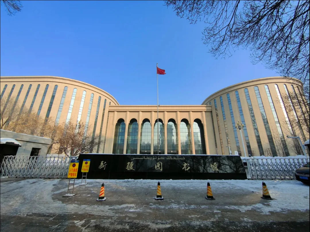 当我问Deepseek新疆图书馆有什么好的
