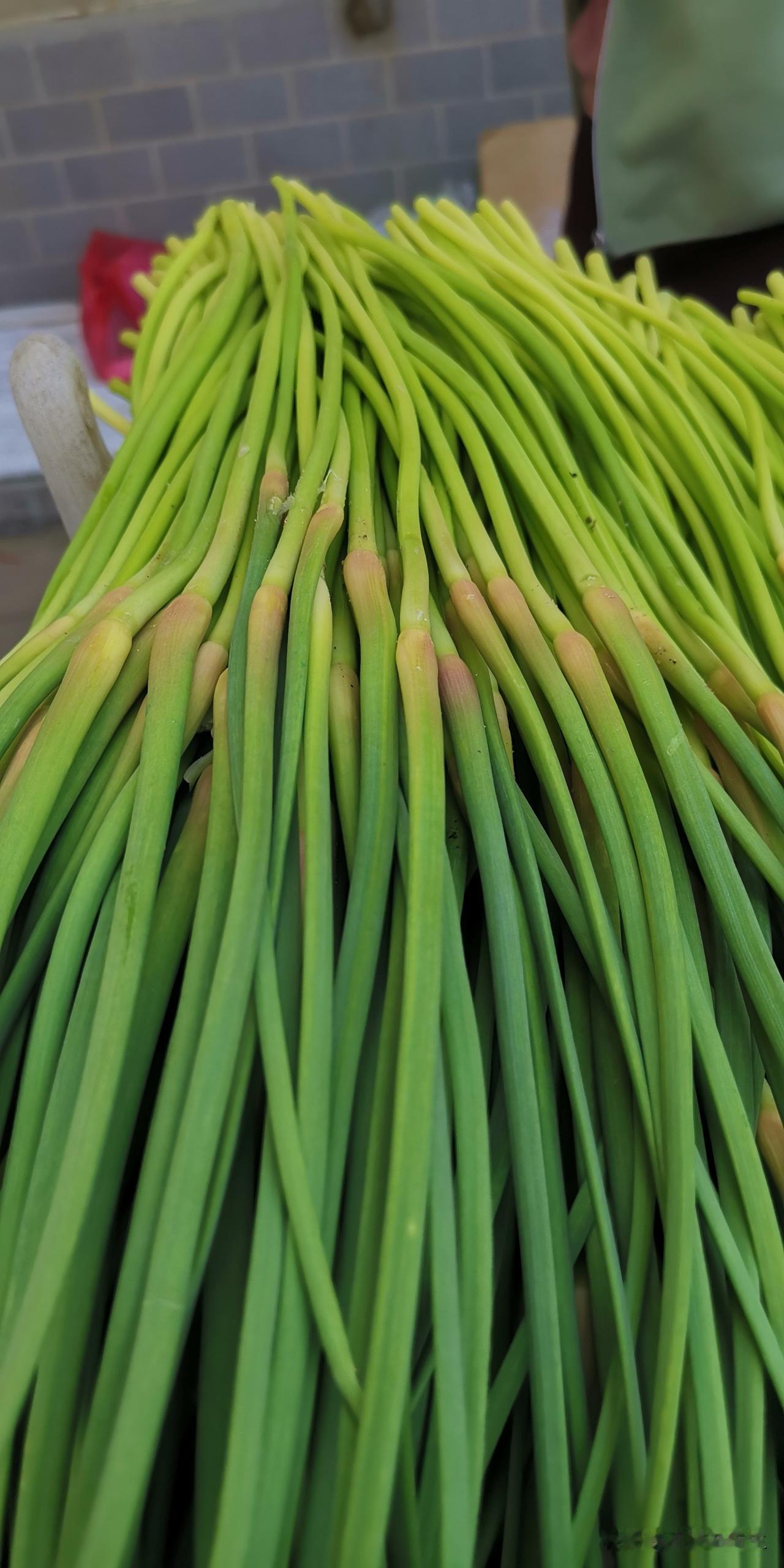 谁还记得蒜苔没人要？
      这会儿价格几何？今年冷库里有没有这种蒜苔？