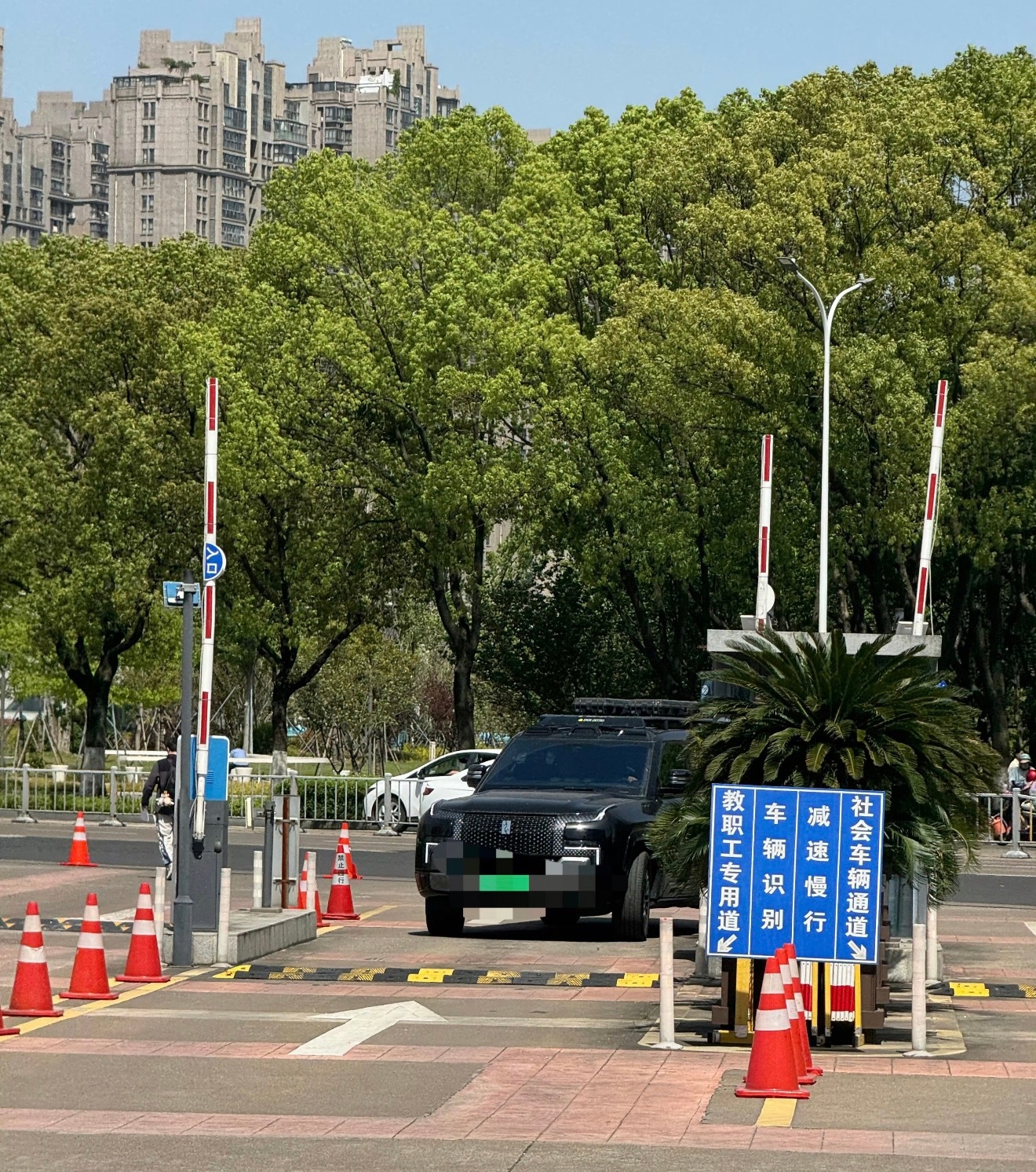 最近高校里悄悄刮起了一阵“迪子风”，但其实我告诉你，这个风吹了很久了已经，三年前