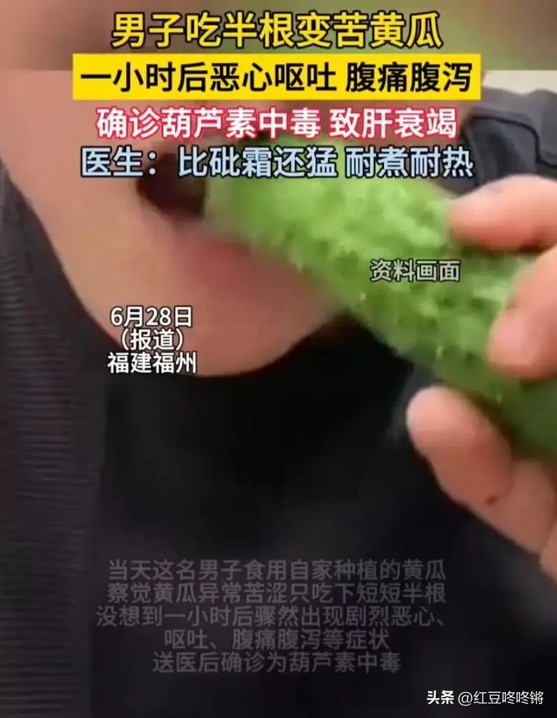 福建福州，大哥摘了一根做自家菜园的黄瓜做凉拌，想着清爽又解腻。但一口咬下去，苦的