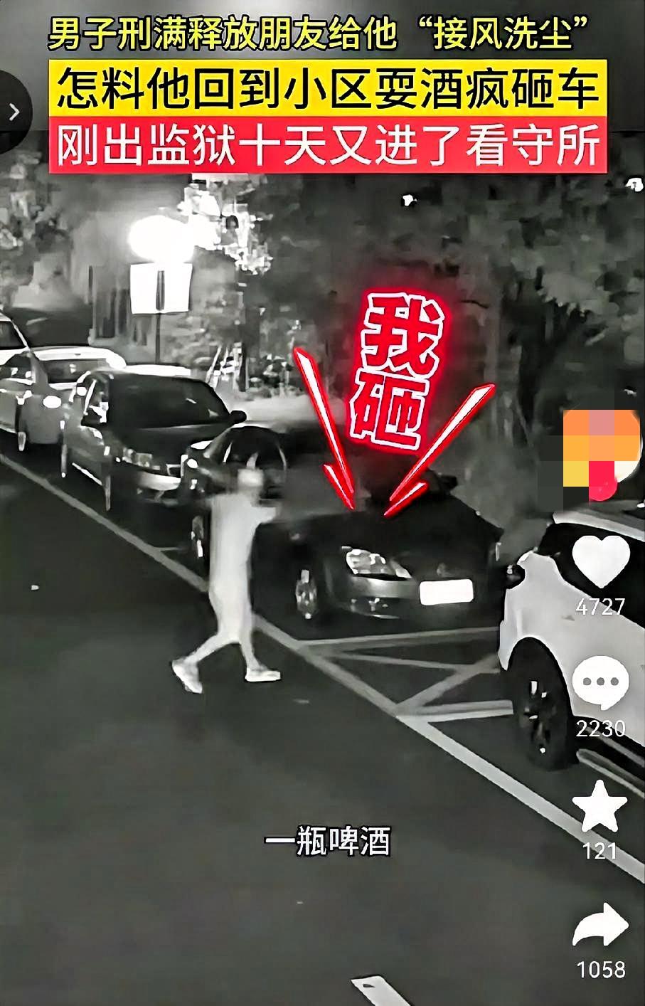 刑释男子接风宴后砸车！朋友好心办坏事，这事谁该反思？

          安徽