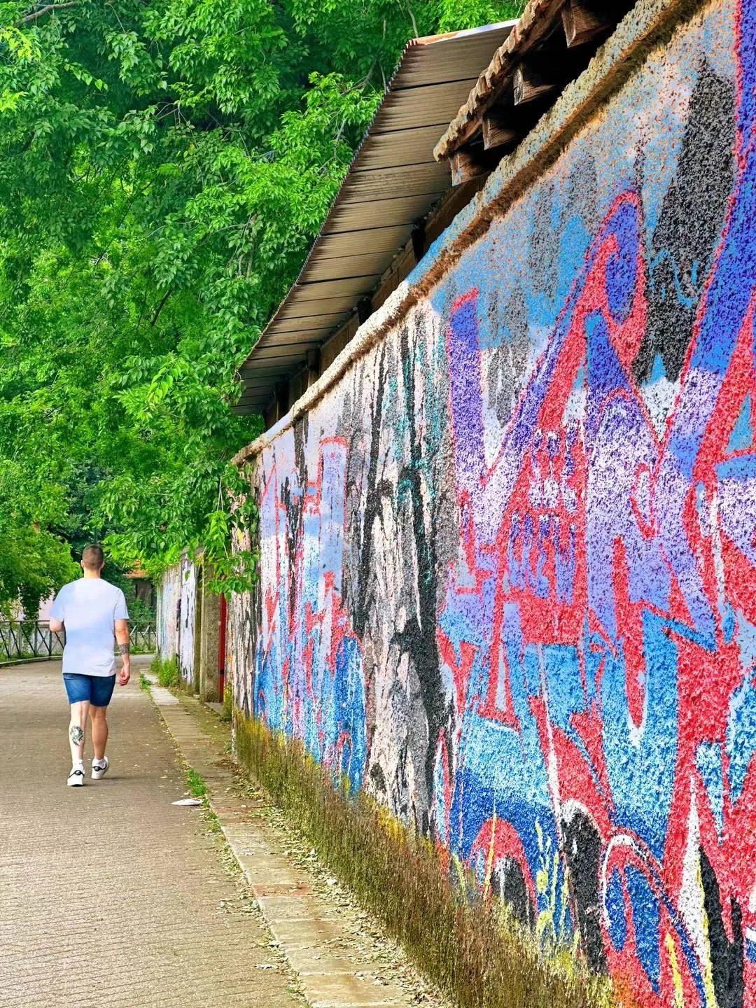 我宣布意大利的夏天來了🇮🇹陽光明媚的公園