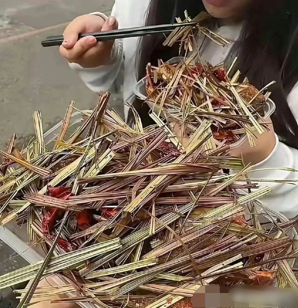 有钱人的生活 